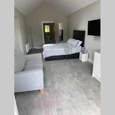 The Forest Chalet - Stunning Studio Apartment Ballycastle Exteriör bild