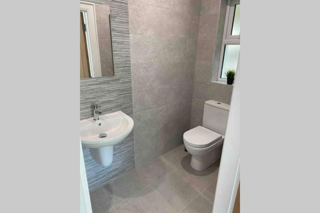 The Forest Chalet - Stunning Studio Apartment Ballycastle Exteriör bild